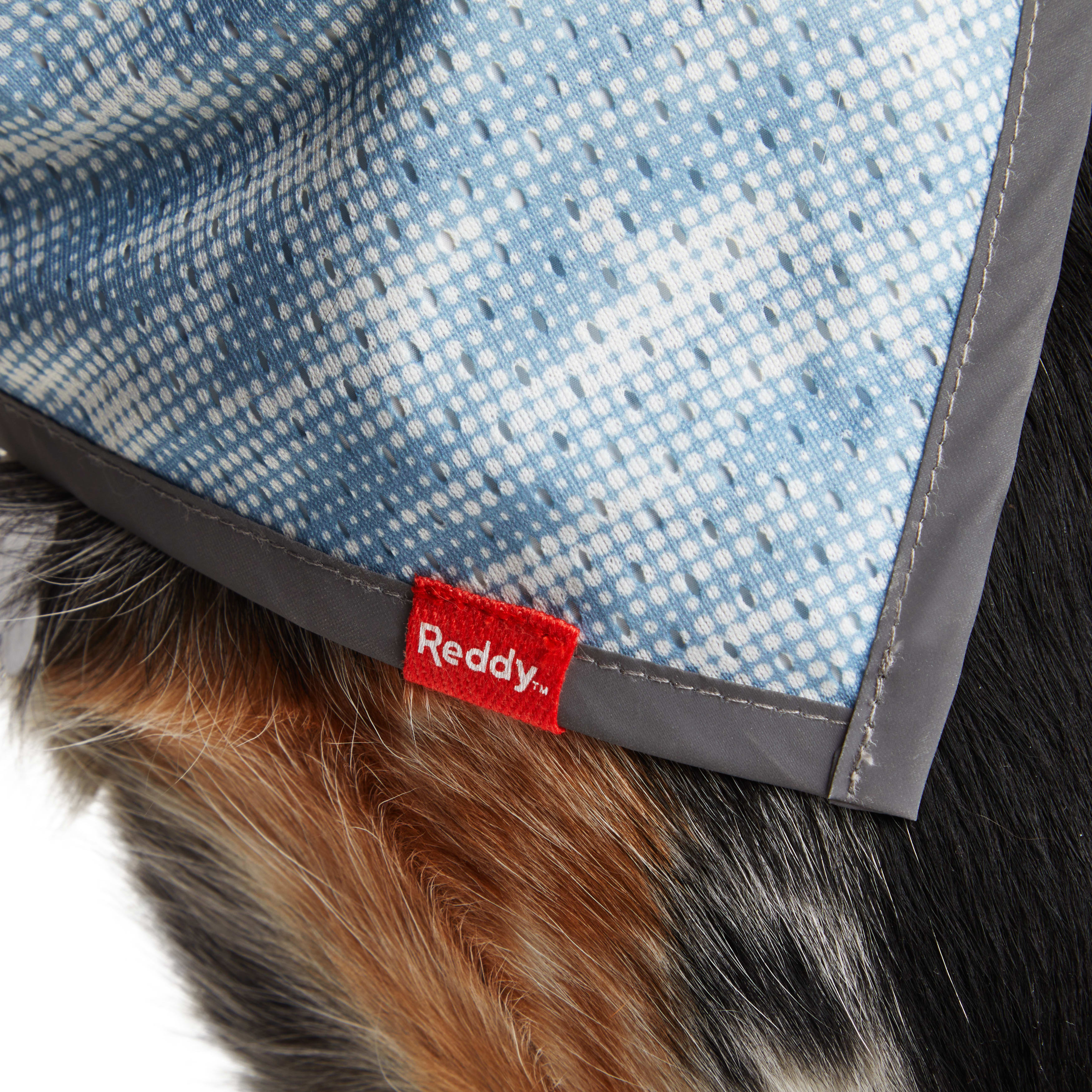 Reddy Blue Bandana for Dogs， X-Small/Small