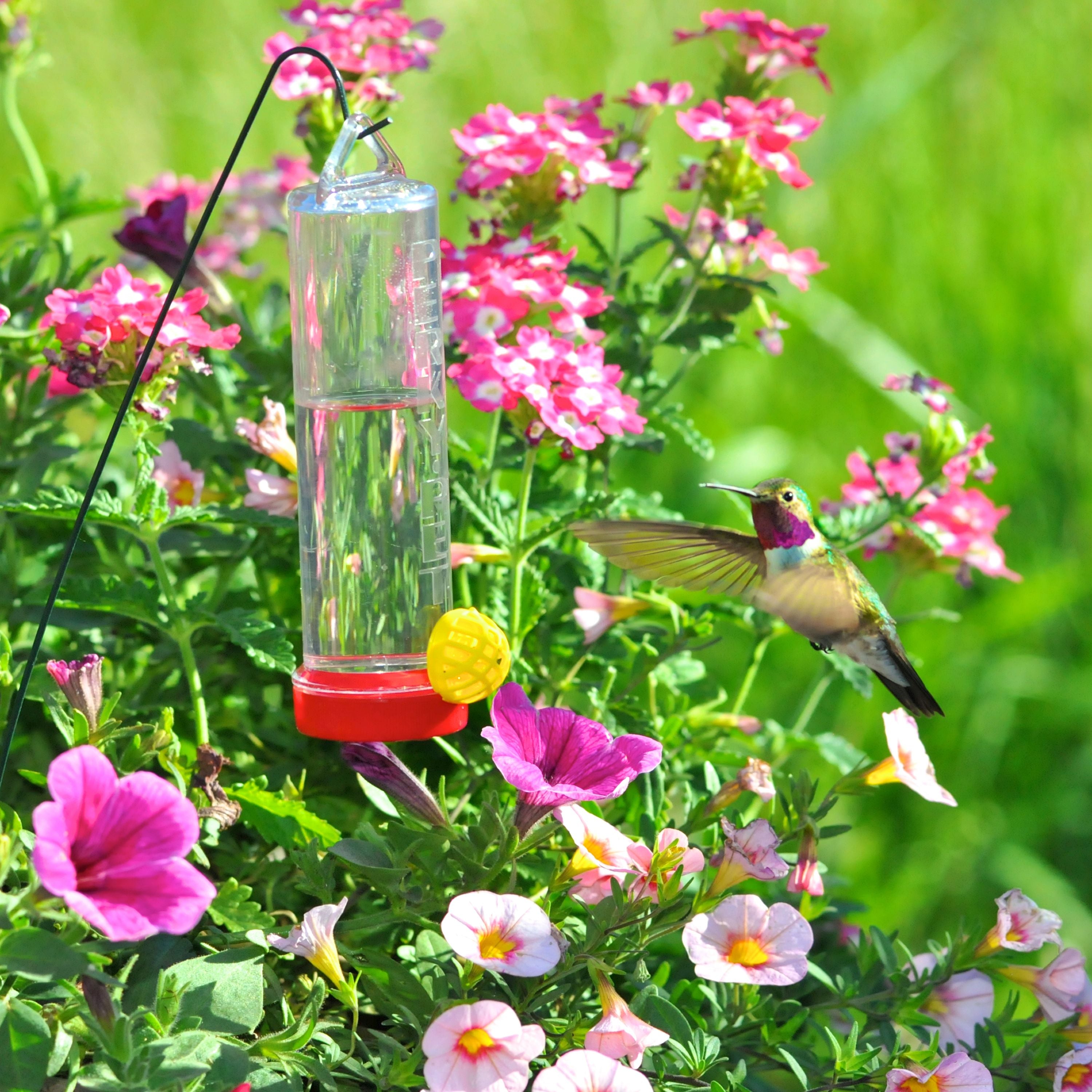 Perky-Pet Planter Box 3 oz Plastic Hummingbird Feeder with Hanging Rod