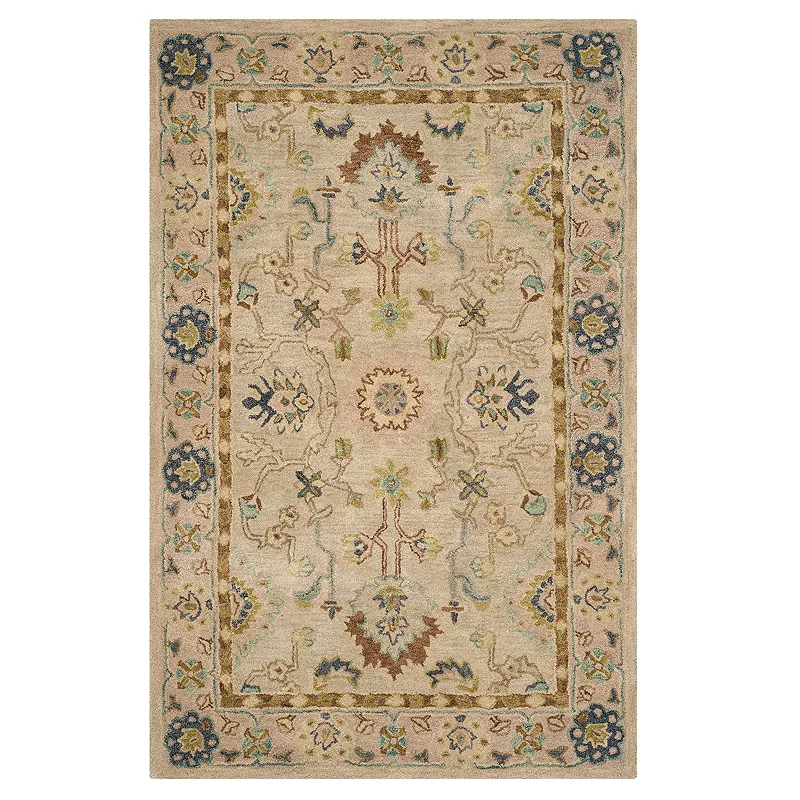 Safavieh Anatolia Zelda Framed Floral Wool Rug