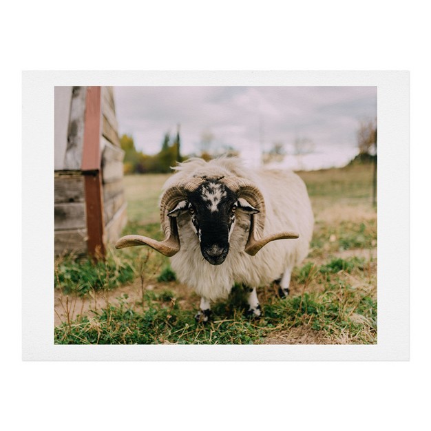 Chelsea Victoria The Curious Sheep Art Print Unframed Wall Poster Green Deny Designs