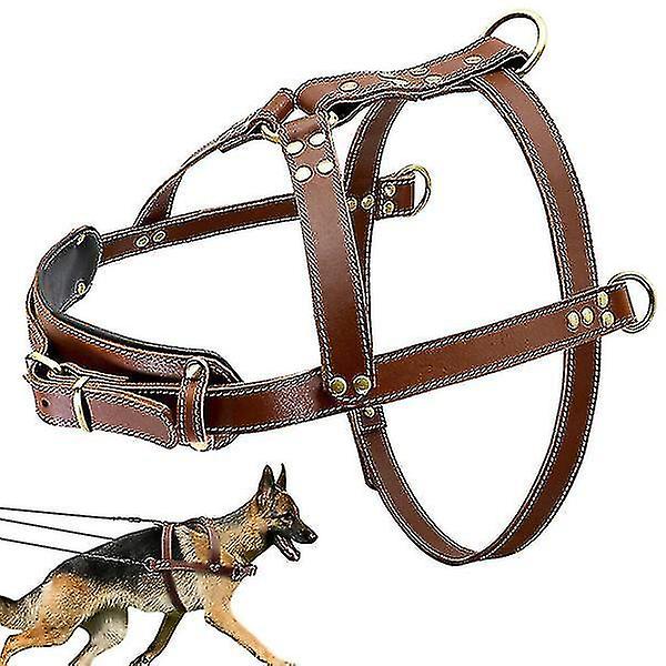 Genuine Leather Dog Harness For Walks Training Big Dog Pulling Harness Exercise