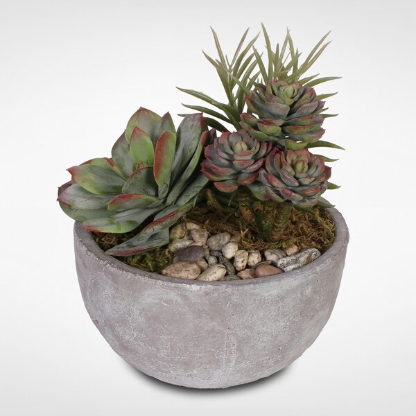 Artificial Succulents with Natural Pebbles in a Cement Bowl