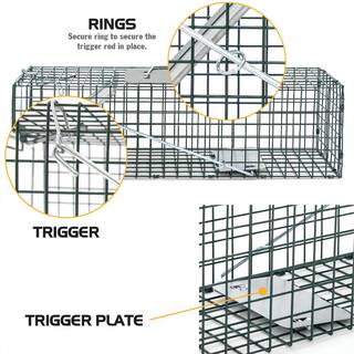 HOMESTEAD Small 1-Door Professional Humane Steel Live Animal Cage Trap for Squirrels Rabbits Chipmunks Skunks Rats and Weasels 410-344-0111