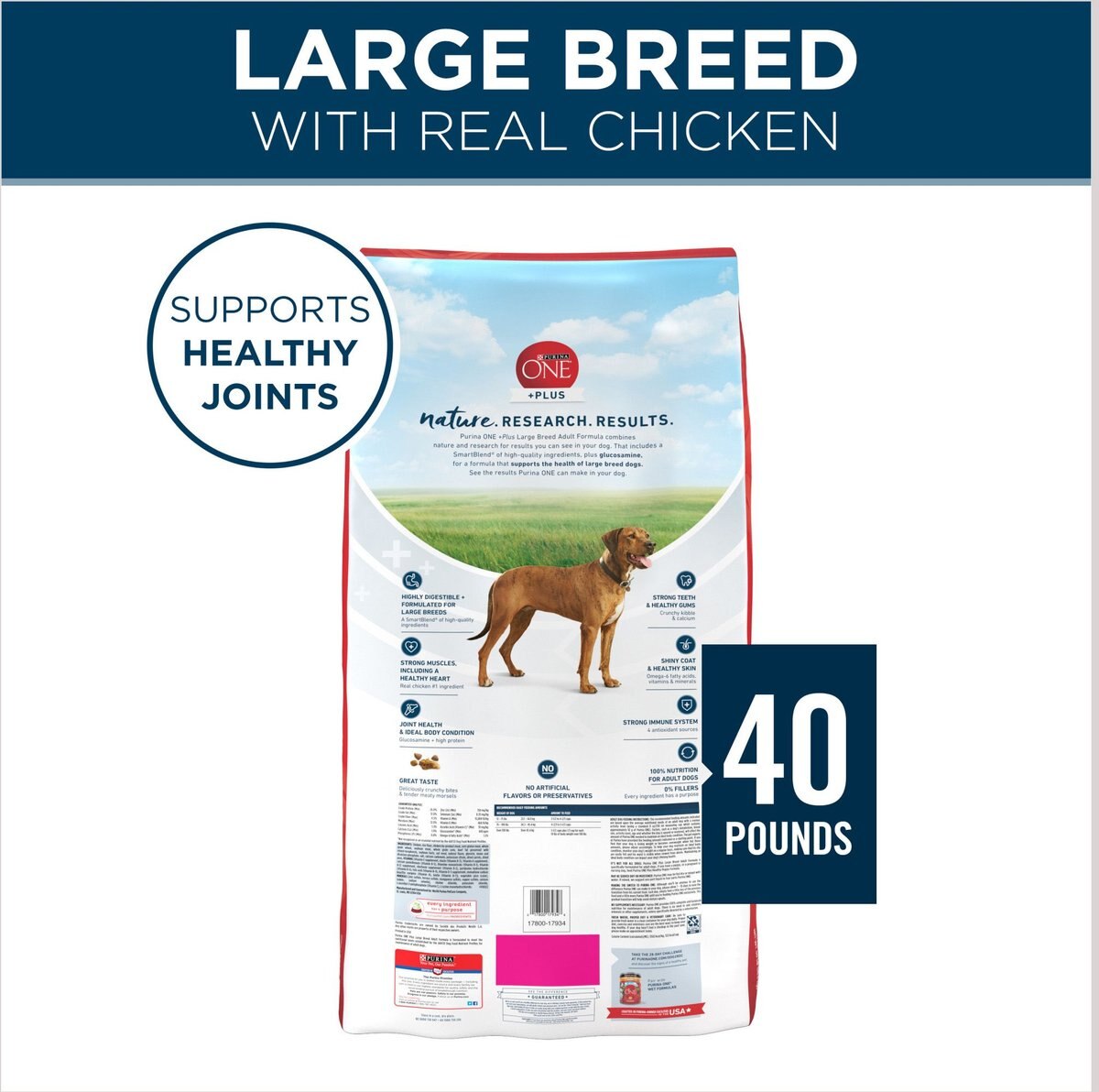 Purina ONE Natural Large Breed +Plus Formula Dry Dog Food