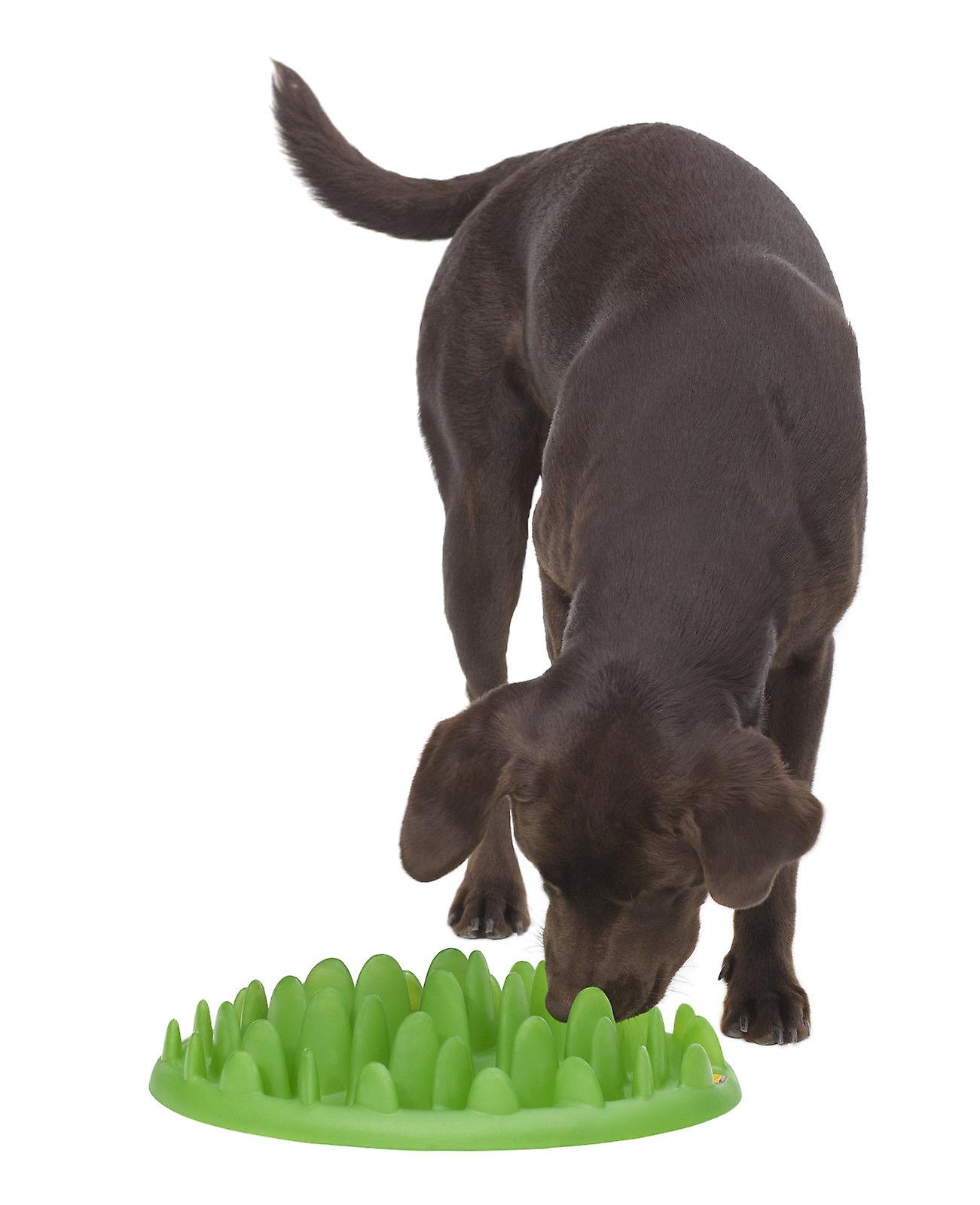 Company of Animals Green Slow Dog Feeder， Stop Your Dog Eating So Quickly L Size