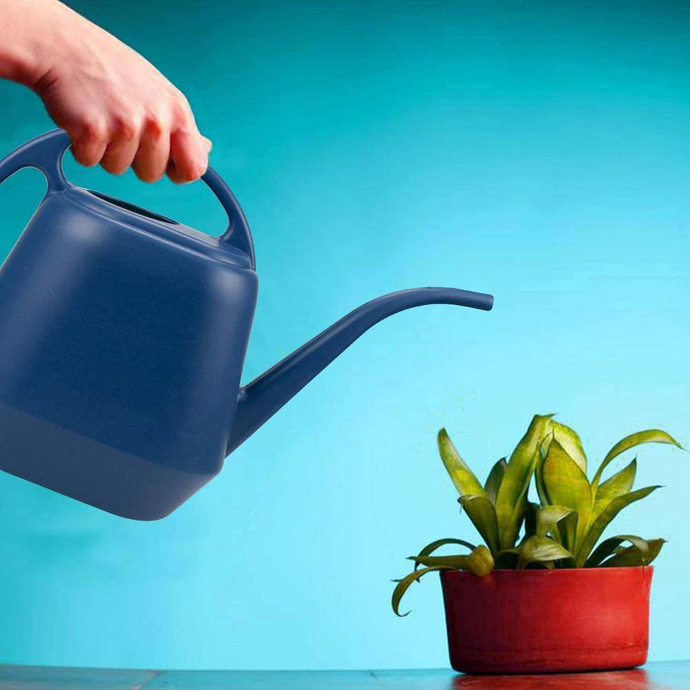 Cubilan 1 Gal. Blue Plastic Watering Can B087RJ6MFT