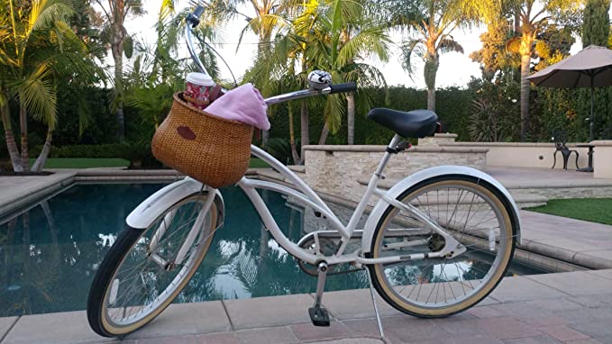 Tote and Kari Bike basket