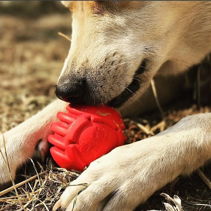 SodaPup Stars and Stripes Ultra-Durable Rubber Ball Dog Toy