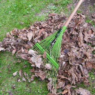 Ames 54 in. Wood Handle 22-Tine Steel Leaf Rake 2915600