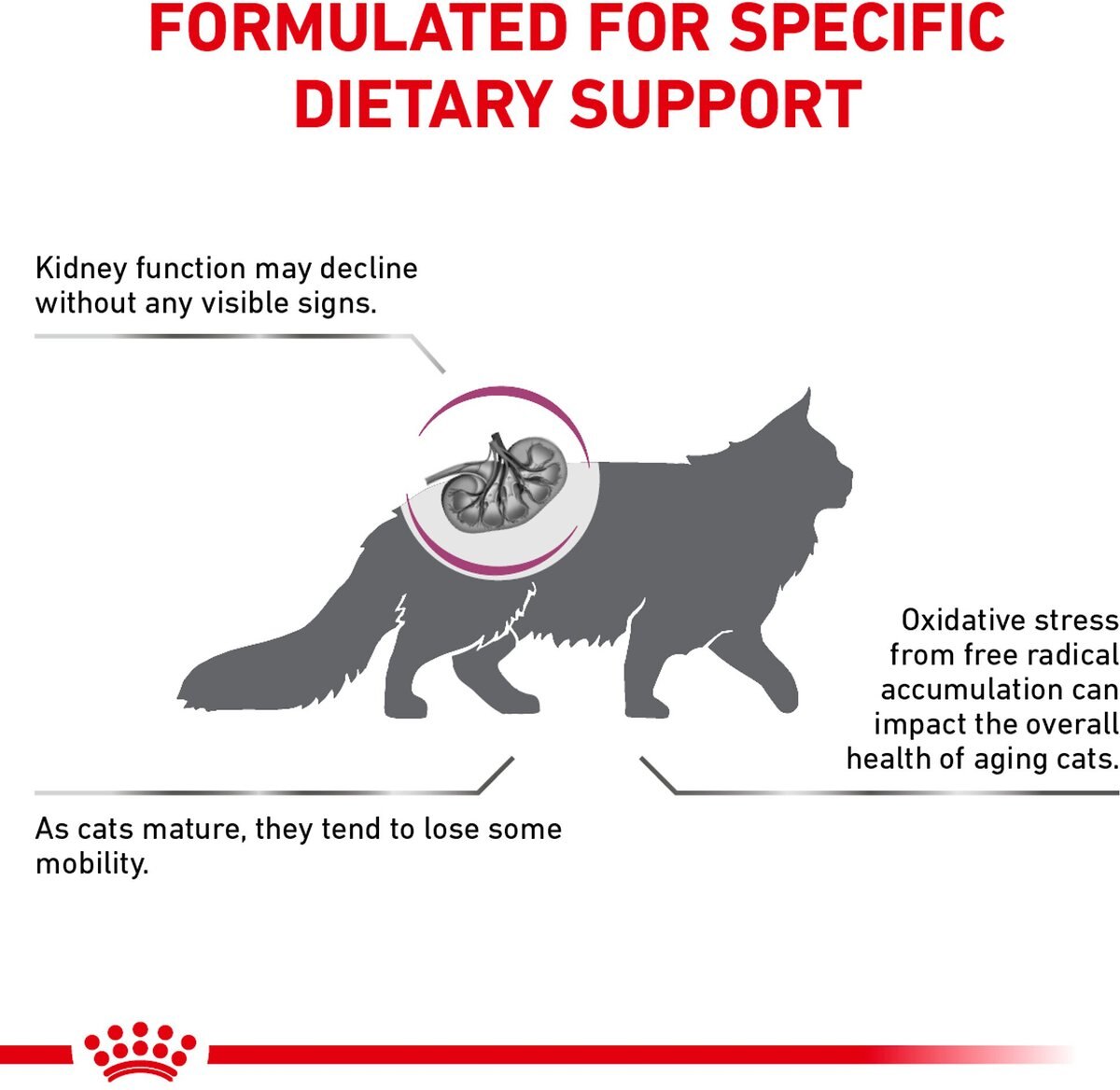 Royal Canin Veterinary Diet Adult Renal Support Early Consult Dry Cat Food