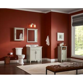 Home Decorators Collection Ashburn 30 in. W x 21.63 in. D Vanity Cabinet in Grey ASGRA3021