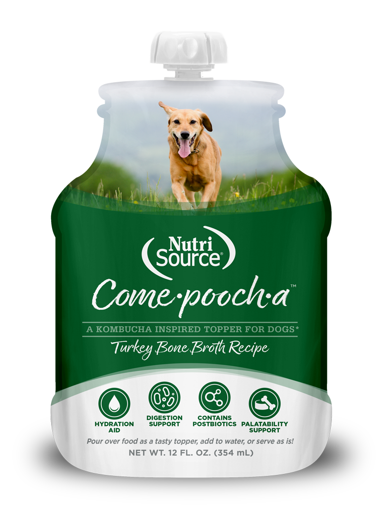 Nutrisource Come-pooch-a Turkey Bone Broth With Postbiotics for Dogs