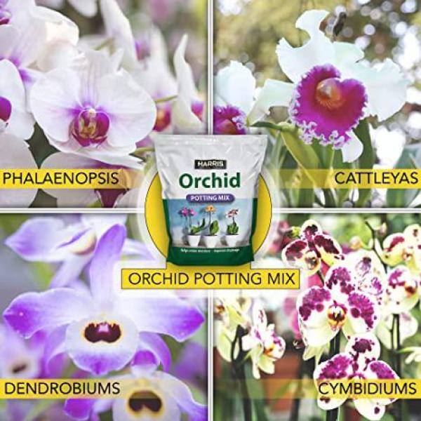 Harris 8 Qt. Premium Horticultural Vermiculite for Indoor Plants and 4 Qt. Premium Orchid Potting Mix VERM-ORCHID