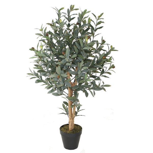 Olive Topiary 36