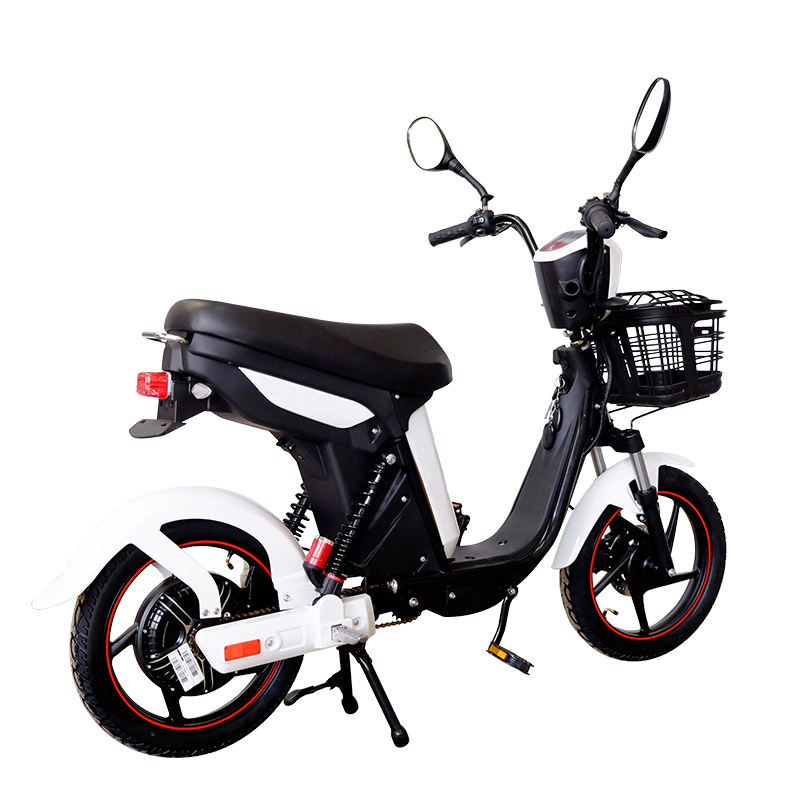 bike electric pakistani rupees price bikes max speed 25 kmh electric bike for viet nam