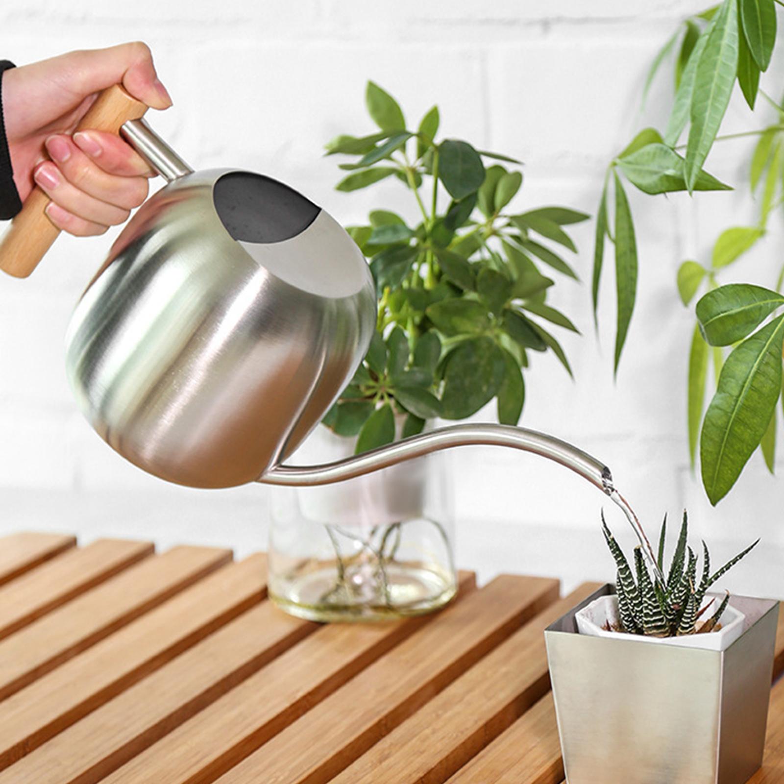 Stainless Steel Indoor Watering Can ,Modern Watering Can Pot, Wooden Handle Long Spout Watering Can for Patio, Flower ,Outdoor Decorative