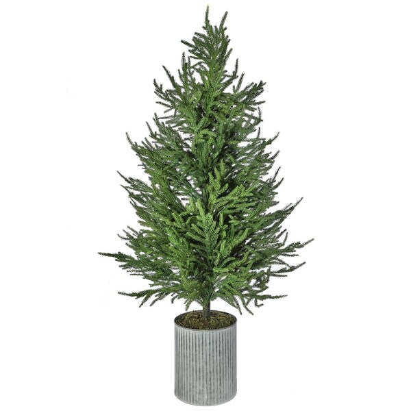 28 Potted Norfolk Pine Tree