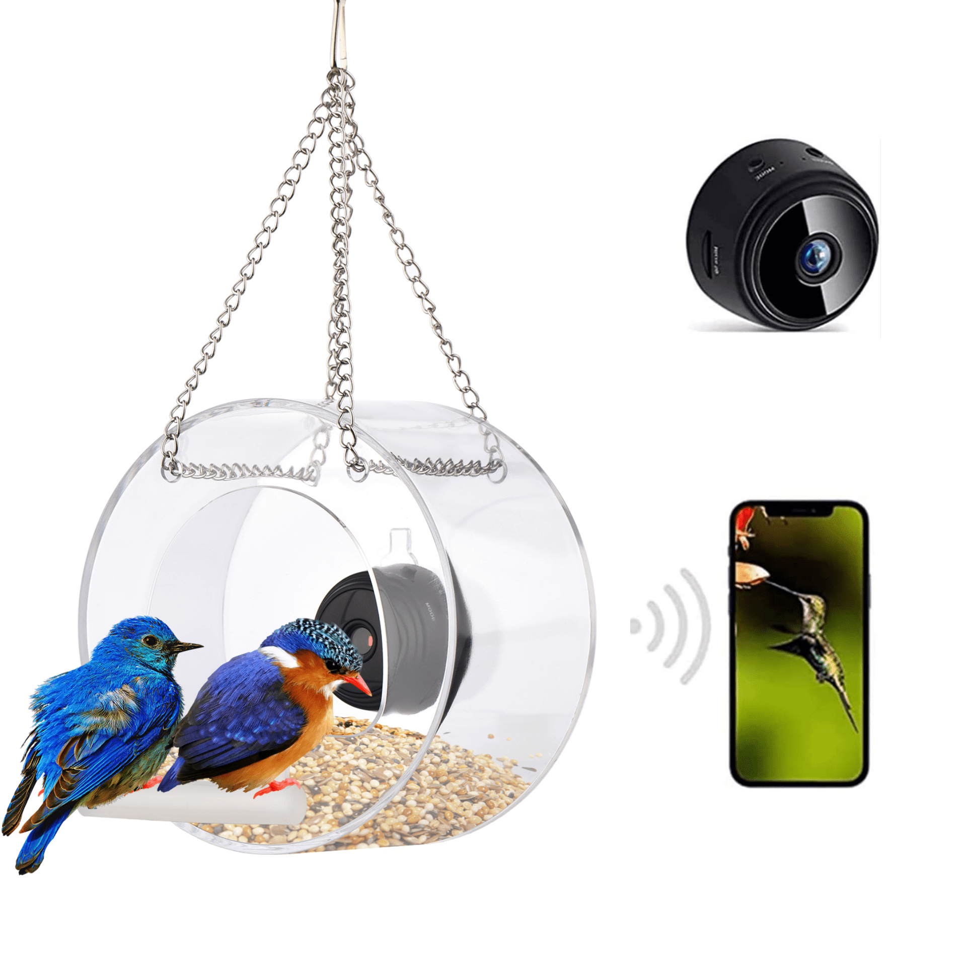 Bird Feeder with Camera HD 1080P Night Version Camera WiFi Remote Connection to Mobile Phone for Family， Outdoor Bird Watching Photos Bird Lovers