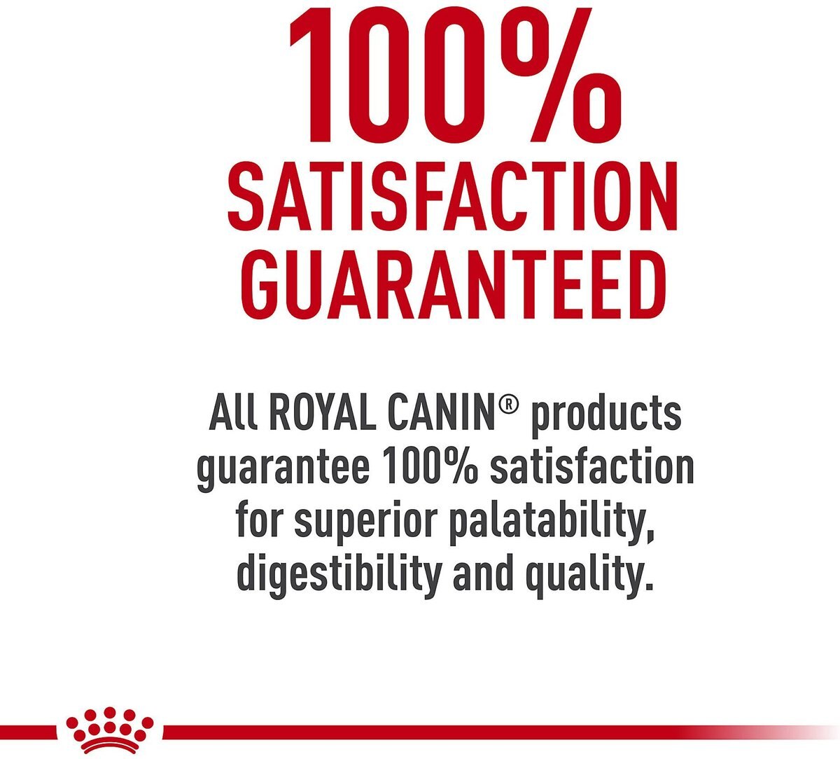 Royal Canin Aging 12+ Loaf In Sauce Canned Cat Food