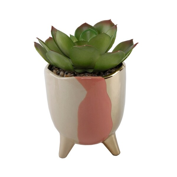 Succulent in 5 3TONE FOOTED CERAMIC，GREY