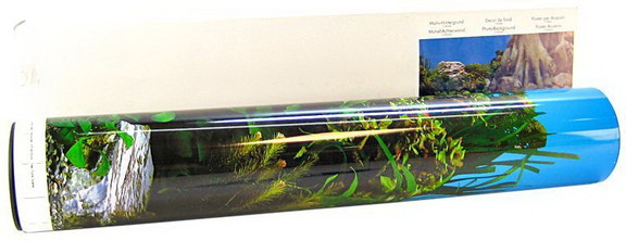 Blue Ribbon Freshwater Rock   Tree Trunks Double S...
