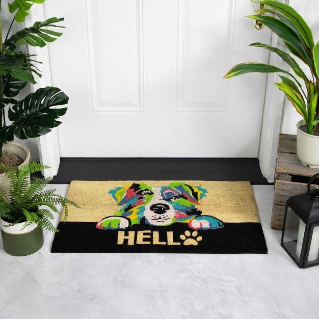 Multicolor Dog Outdoor Coir Doormat 18 quot X