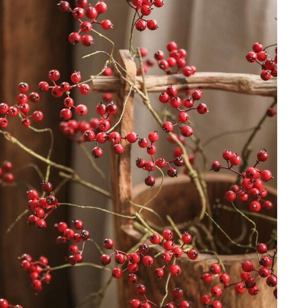 RusticReach Mini Fruit Berry Stem 30 Tall | Overstock.com Shopping