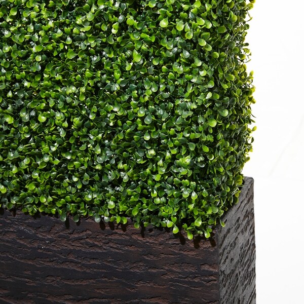 Exclusive and Utmost Beautiful Boxwood Hedge