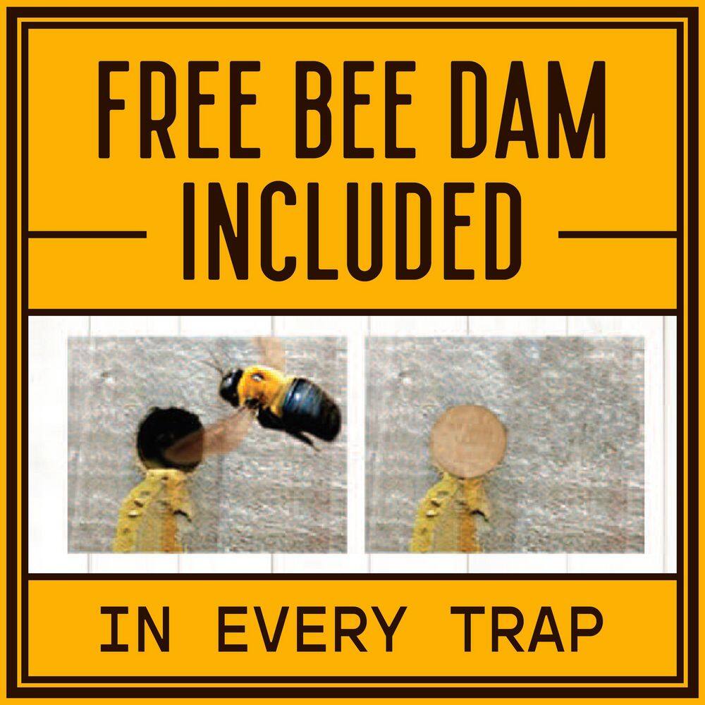 Bees N Things Hanging Carpenter Bee Trap 100537614