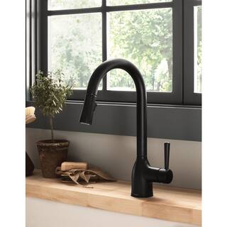 MOEN Adler Single-Handle Pull-Down Sprayer Kitchen Faucet with Reflex and Power Clean in Matte Black 87233BL