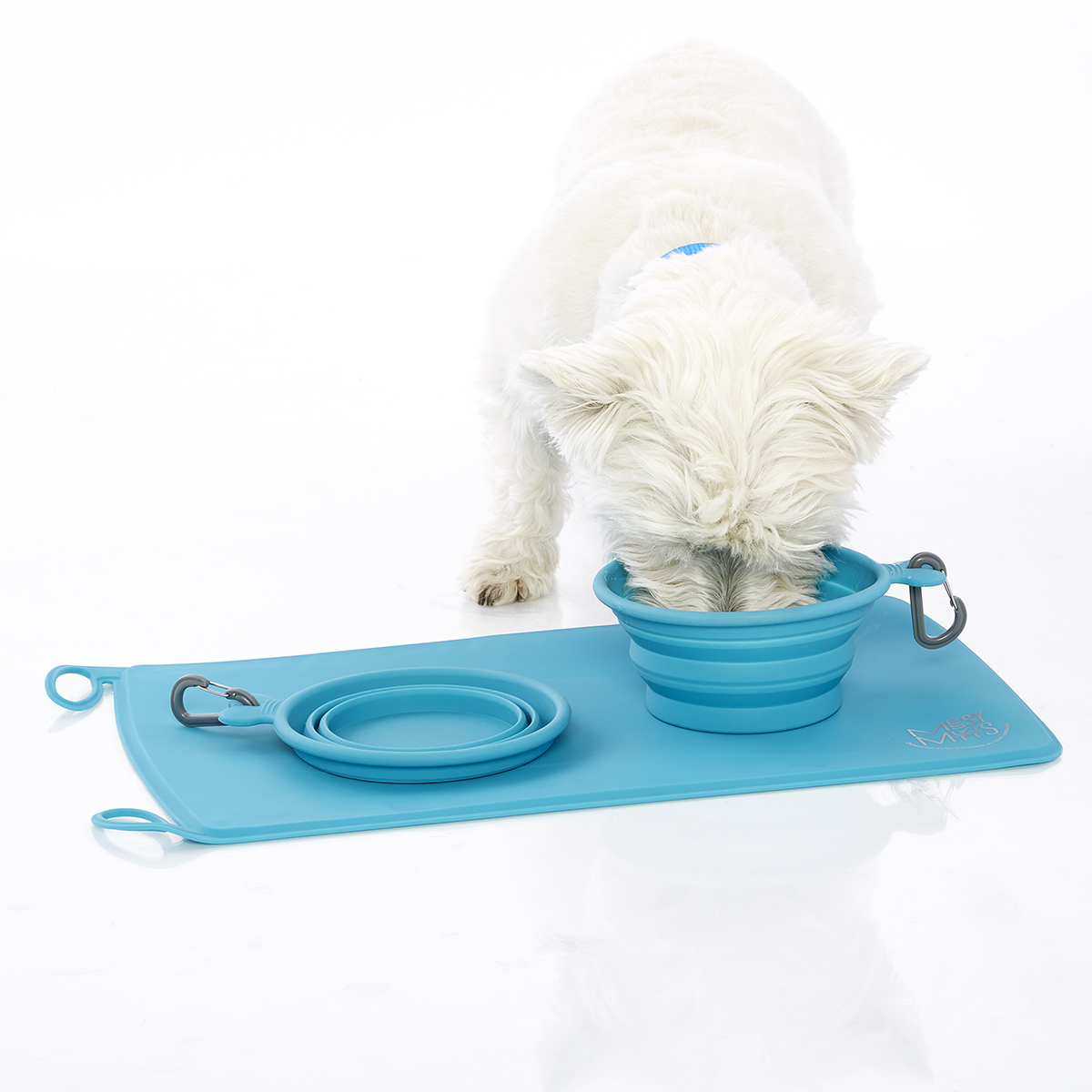 Messy Mutts Collapsible Pet Bowl