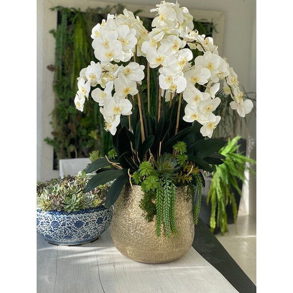 Delany Gold Pot With Multiple Stems Of Phalaenopsis Orchids And Succulents