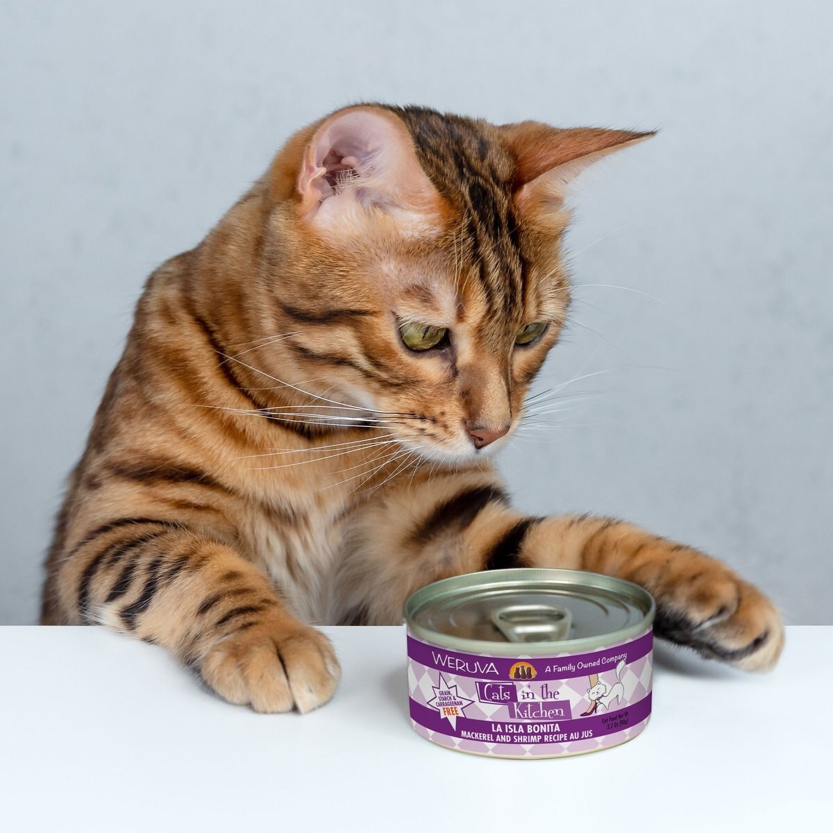 Weruva Cats in the Kitchen La Isla Bonita Mackerel and Shrimp Au Jus Grain-Free Canned Cat Food