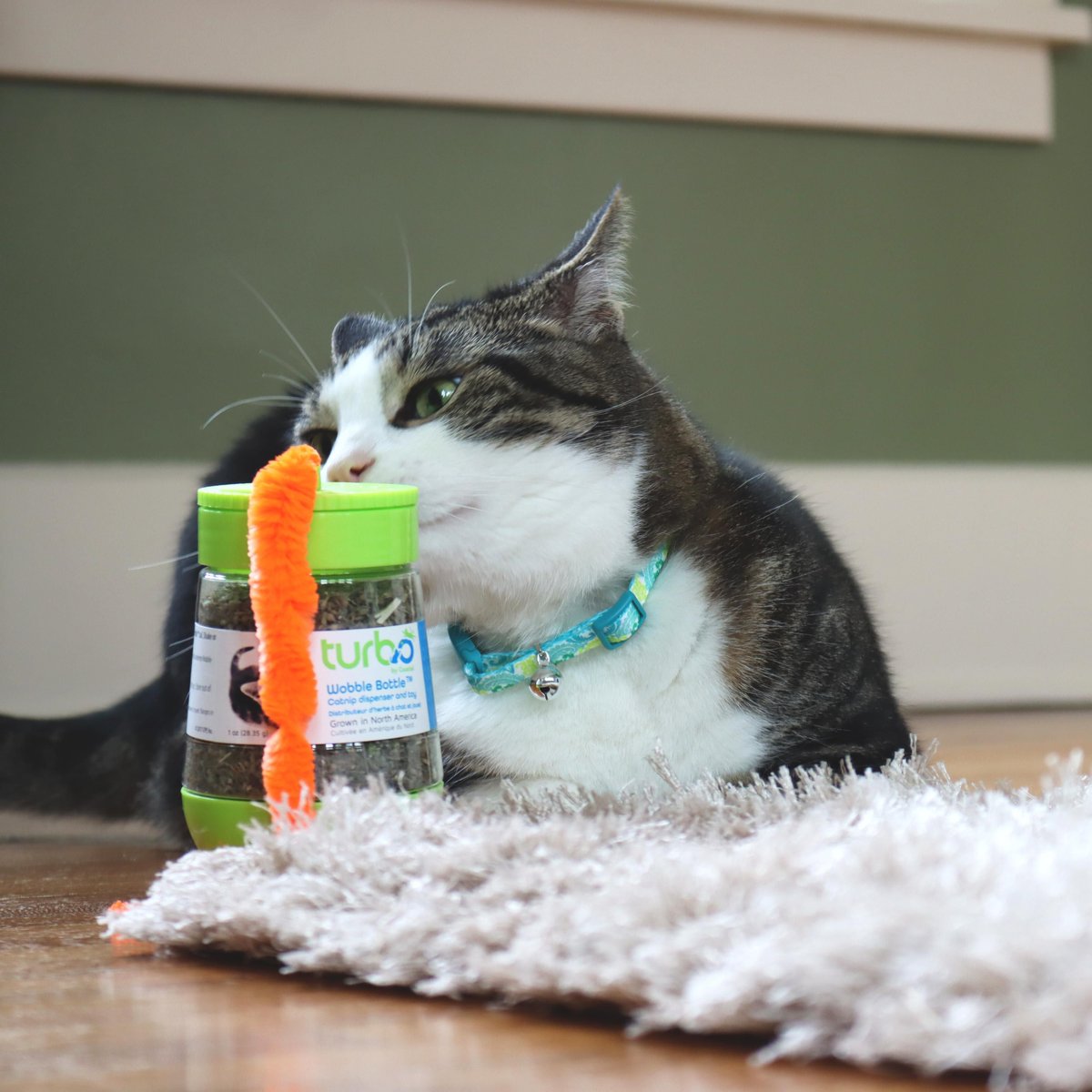 Turbo Wobble Bottle Cat Toy with Catnip