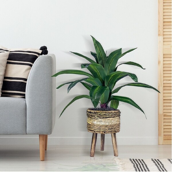 24inch Artificial Dracaena Plant in TriColor Basket Stand