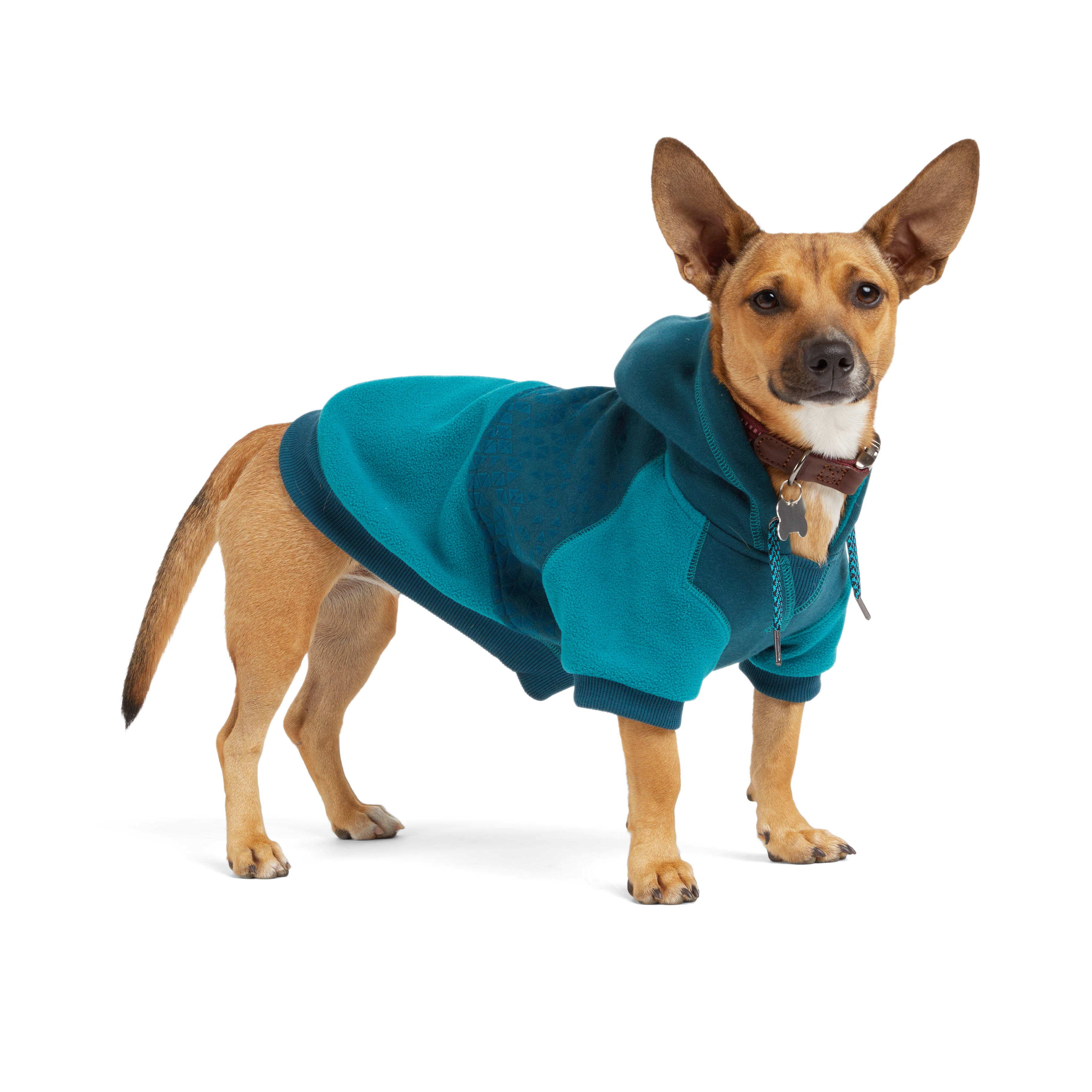 Reddy Teal Felt Print Dog Hoodie， X-Small