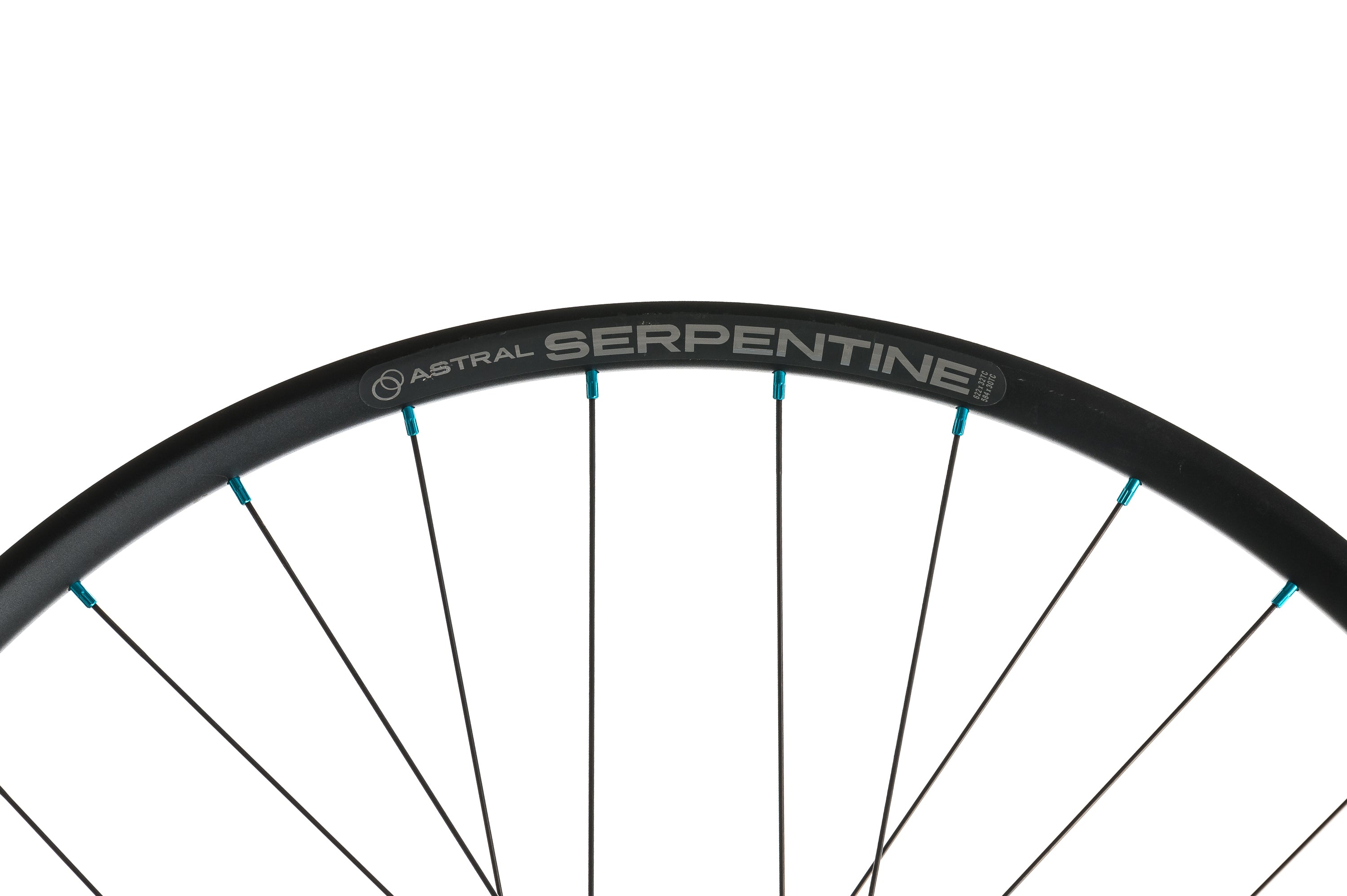 Astral Serpentine w/ Project 321 Hubs Aluminum Tubeless 29