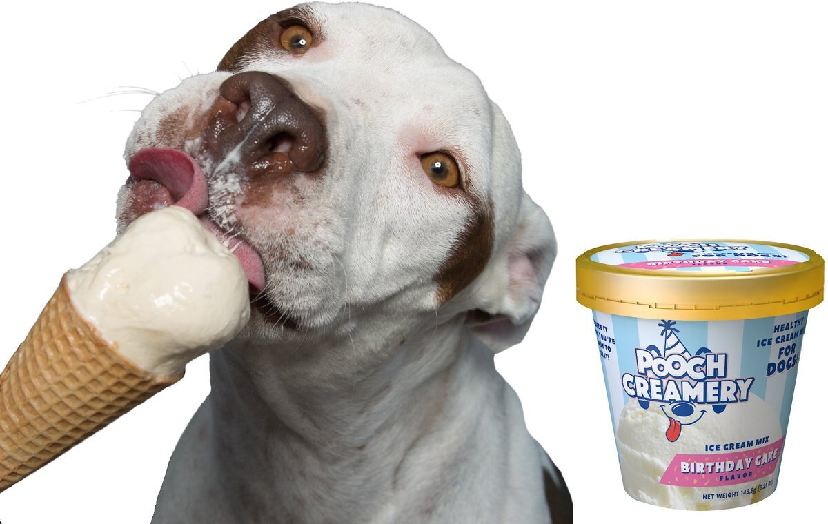 Pooch Creamery Birthday Cake Flavor Ice Cream Mix Dog Treat， 5.25-oz cup