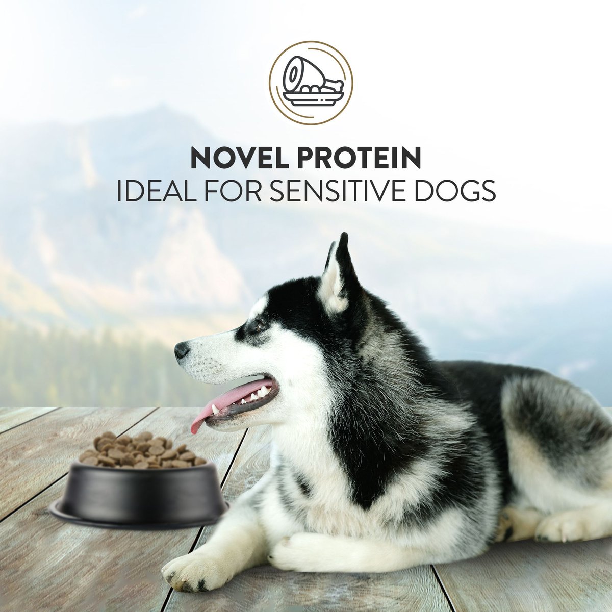 Addiction Grain-Free Viva La Venison Dry Dog Food