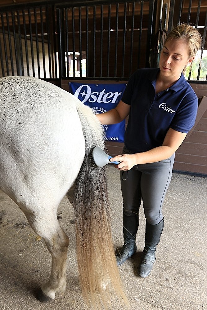 Oster Equine Care Mane and Tail Horse Brush