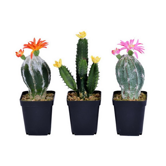 Vickerman FE191306 8 Green Potted Cactus Set/3