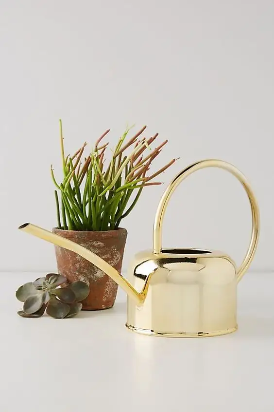 Extremely New Design Water Can Durable With Gold Plated Fineshed Metal Watering Can In Elegant For Home Garden Lawn Plan