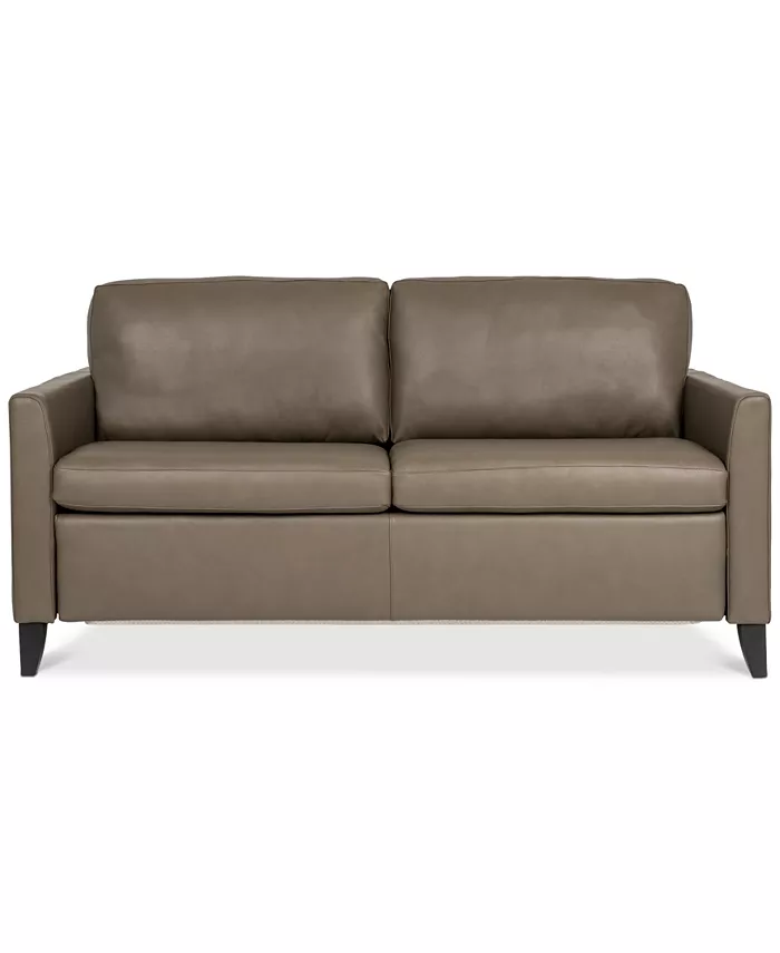 Furniture Priley 70 Leather Queen Sleeper Sofa