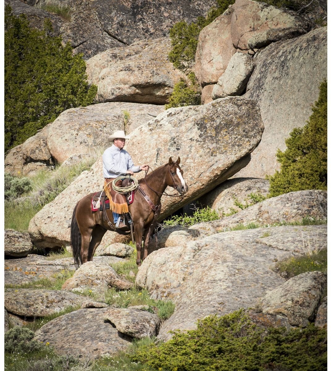 Weaver Leather AirFlex Roper Cinch and Roll Snug Horse Cinch Buckle