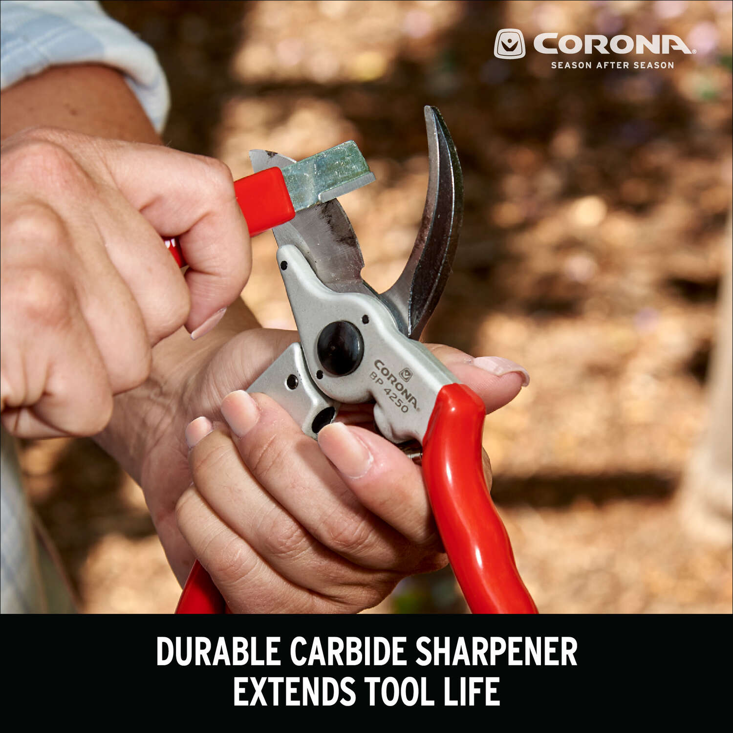 Corona Blade Sharpener