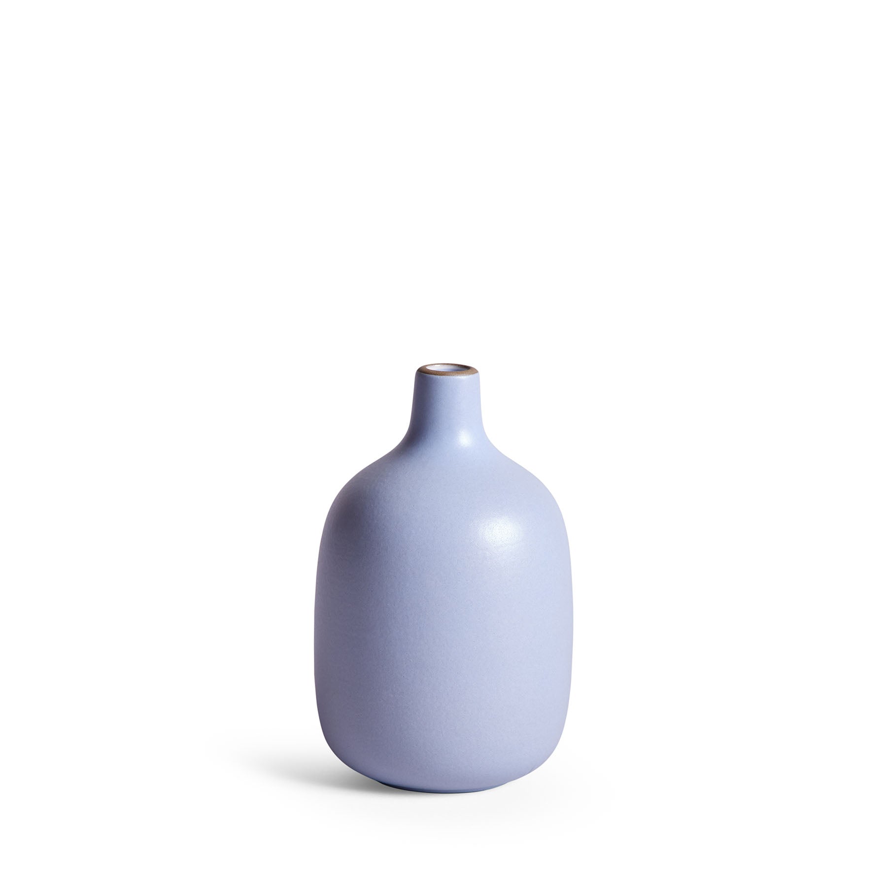 Single-Stem Vase – Simple, Elegant, and Perfect for Minimalist Floral Arrangements