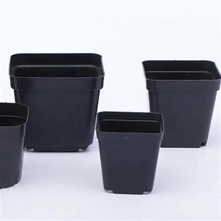 Planters  Succulent Pot without Plates for Bonsai   Horticultural supplies   black Plastic square flowerpot