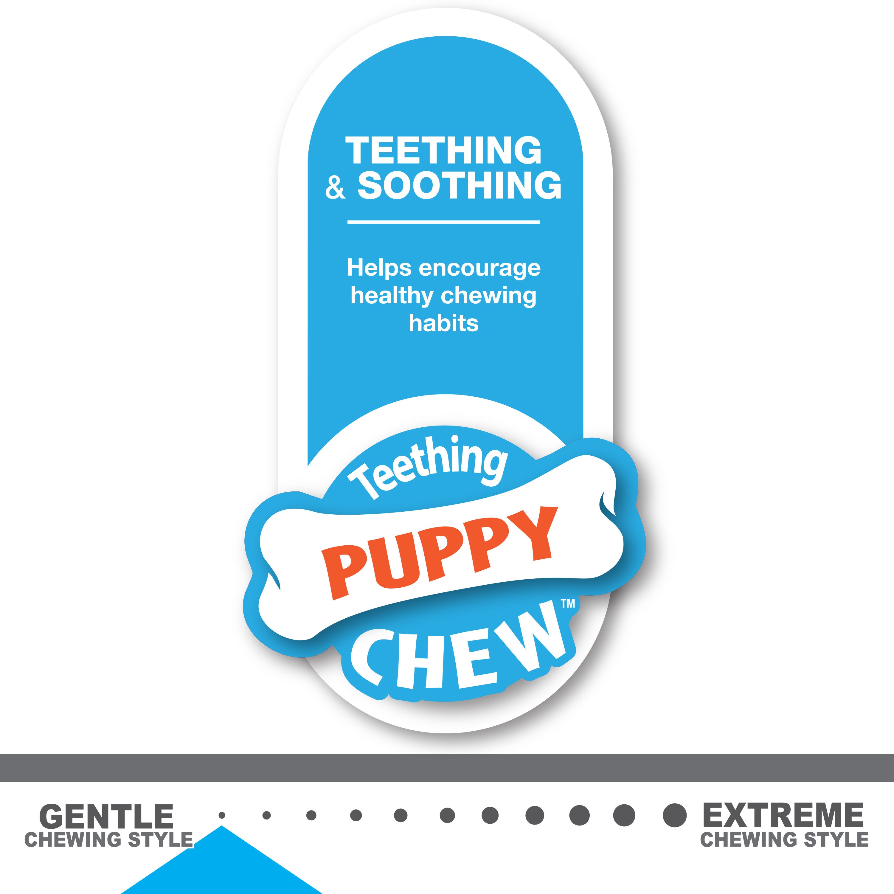 Nylabone Puppy Teething and Soothing Flexible Chew Toy Chicken Blue X-Small/Petite (1 Count)