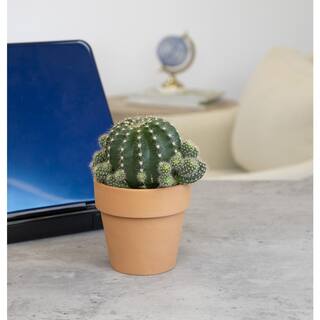 SMART PLANET 9 cm Cactus in Terra Cotta Clay Pot 0872525