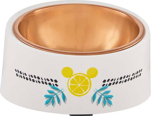 Disney Mickey Mouse Lemons Slanted Elevated Stainless Steel Dog and Cat Bowl， 1.5 Cup